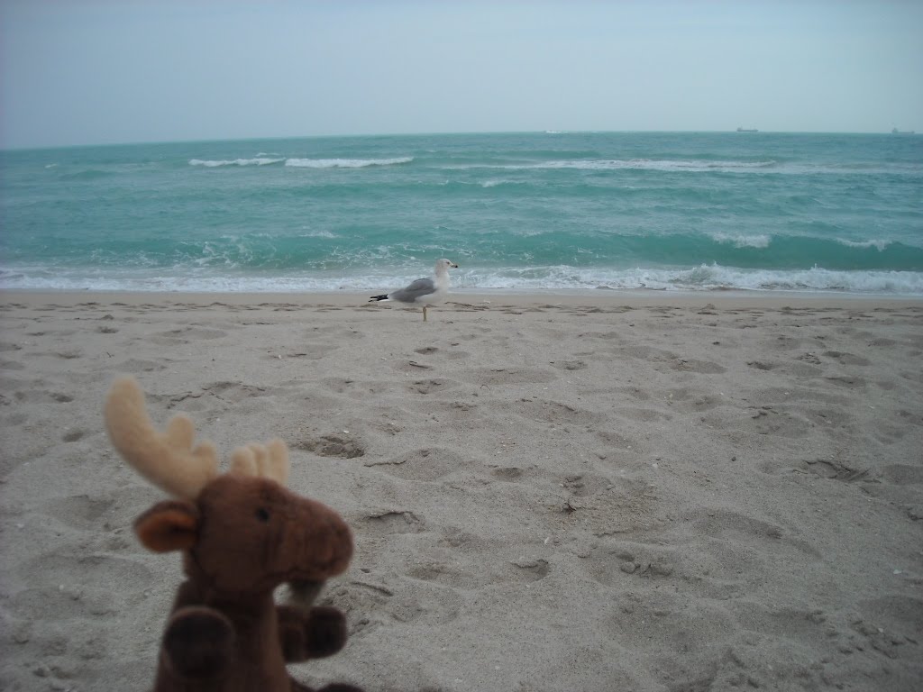 [ahhh,+nice+view.JPG]