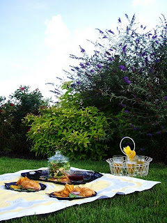 picnic+lawn