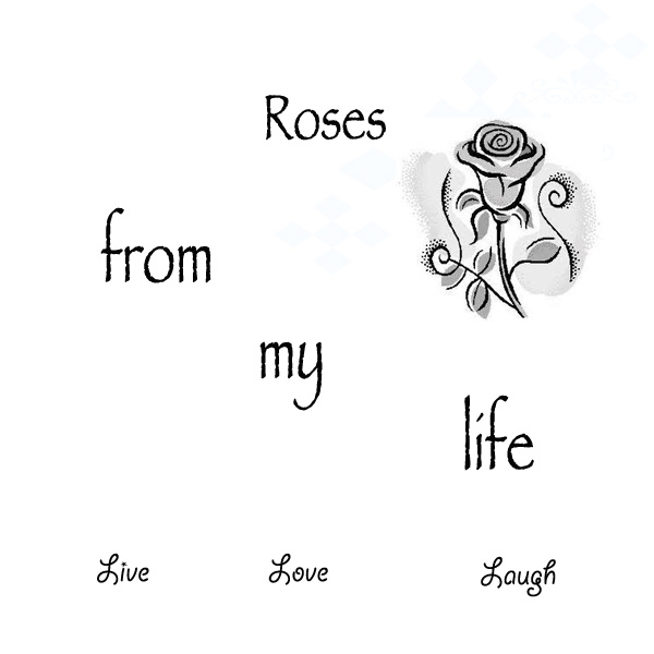 Roses from my life