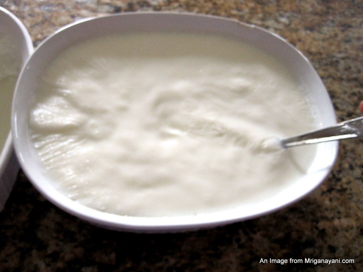 Love & Lentil Make Yogurt at home and then make Shrikand too at home!