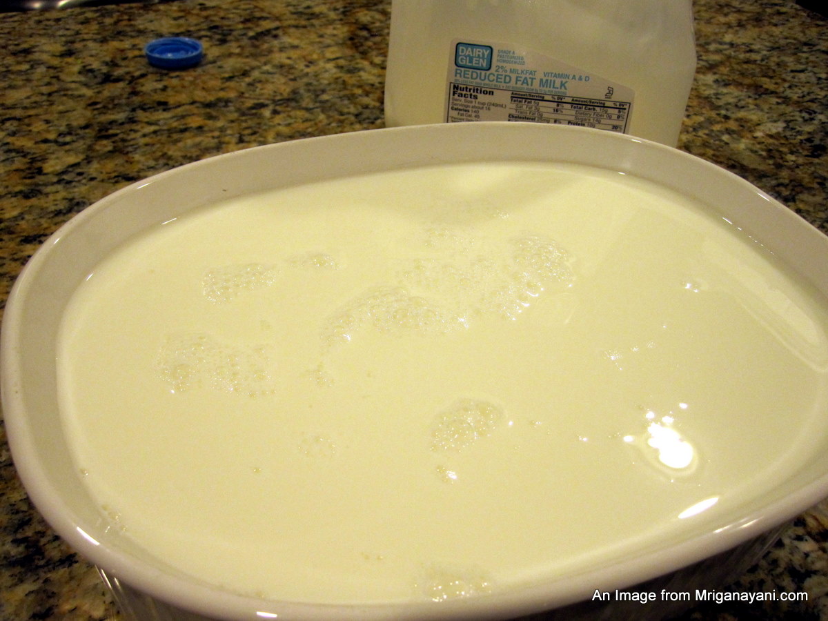 Love & Lentil Make Yogurt at home and then make Shrikand too at home!