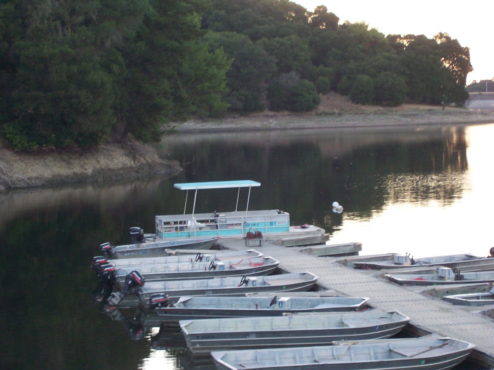 The Lemon Lady Foundation Beauty In Our Own Backyard. Boating. Coastal