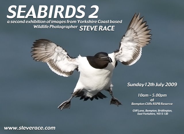Race Birding