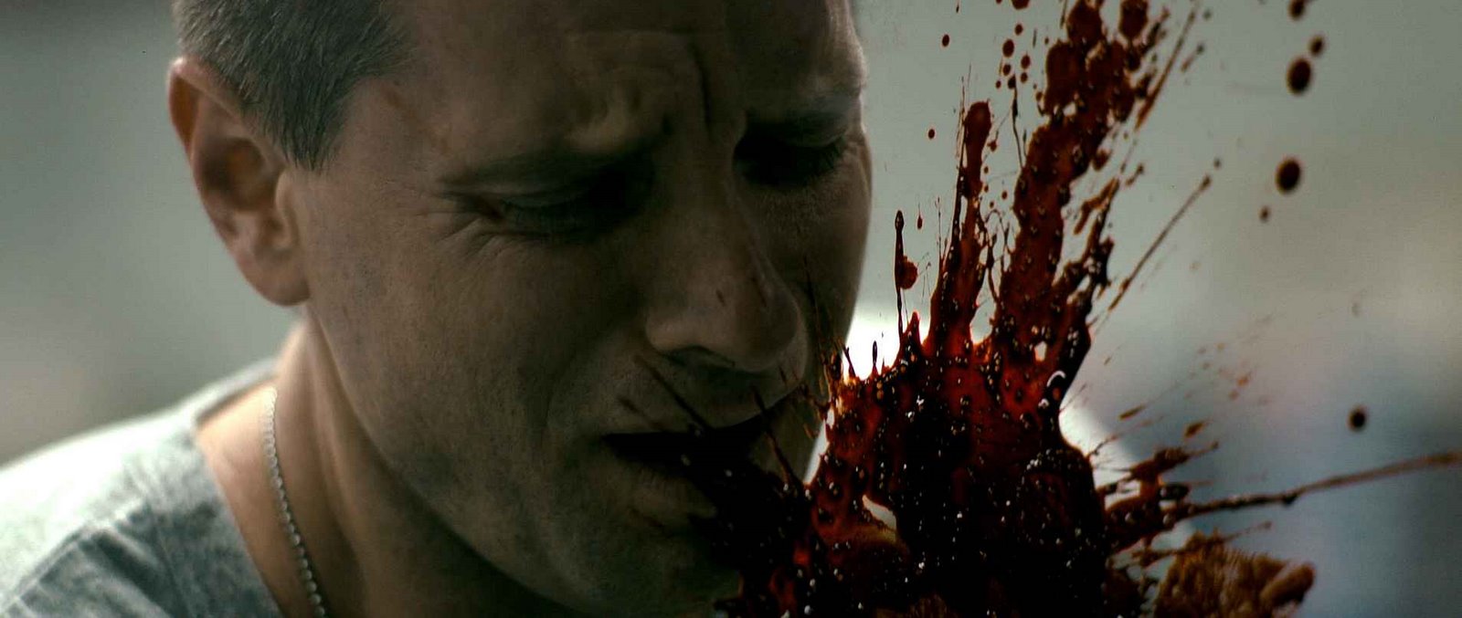 [2008_splinter_003.jpg]