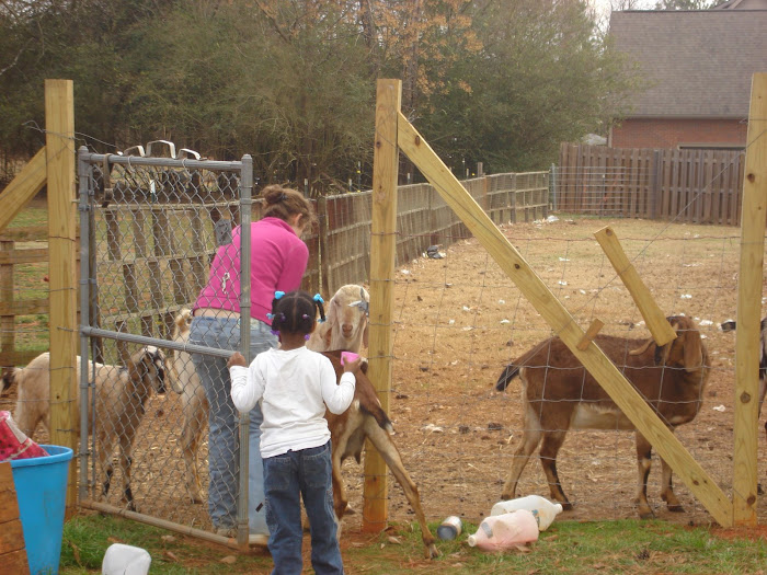 Both T's at the pasture gate