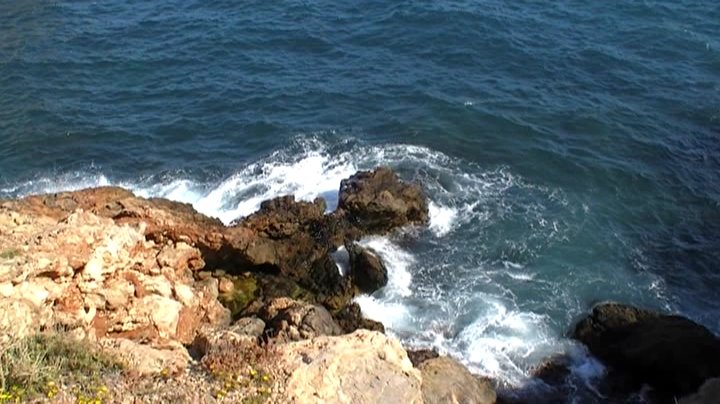 [20080413-180301.JPG]