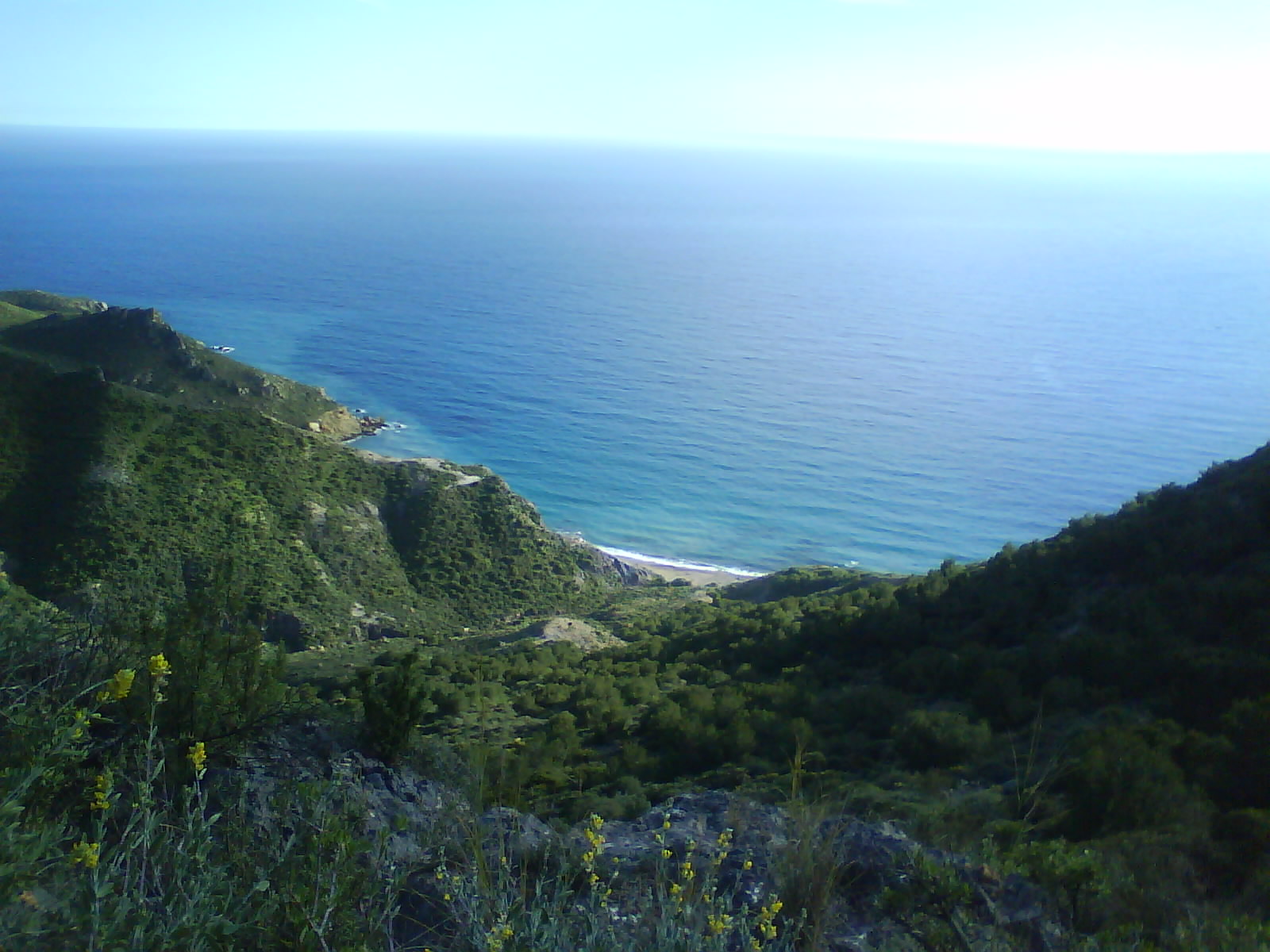 [DSC00040.JPG]