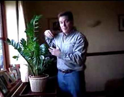 House plants and Conservatory house plants identification. House plants and Conservatory