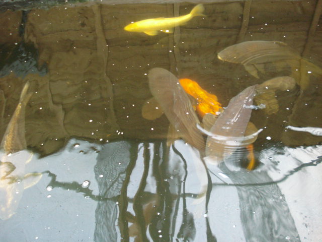 [DSC00859.JPG]