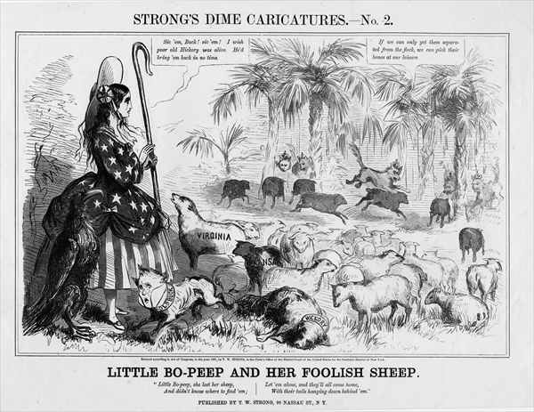 Search - codi - MOTHERLESSCOM