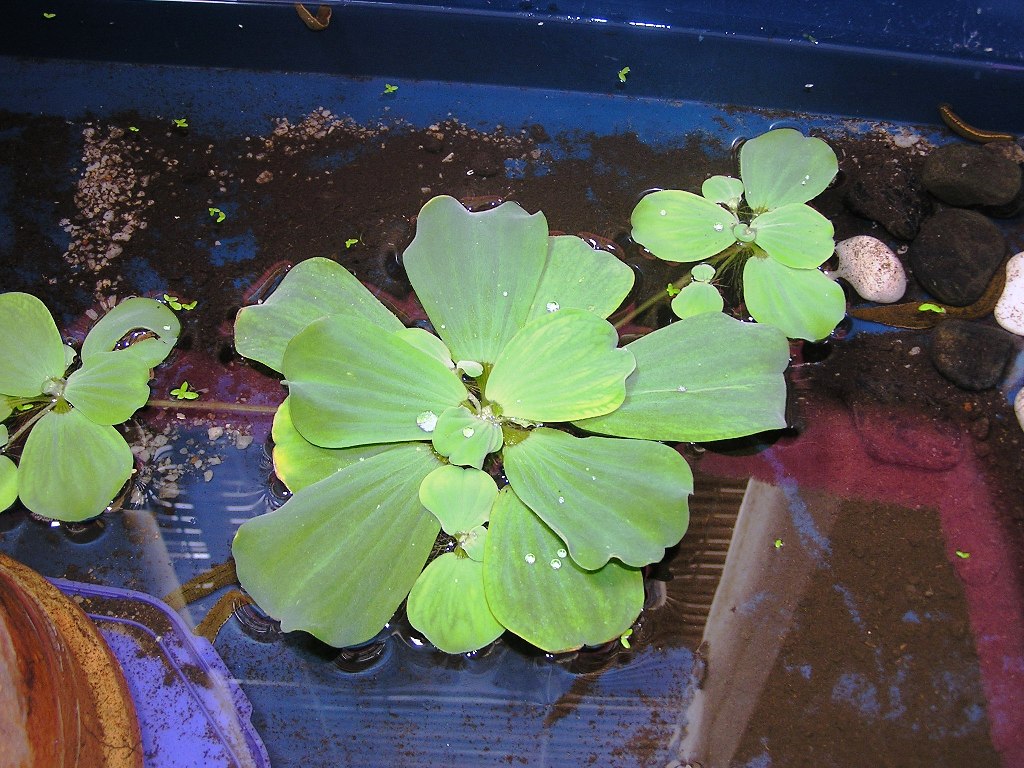 [P1010122.JPG]