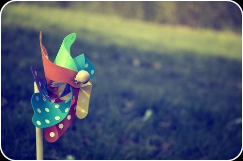 [ip.bmp]
