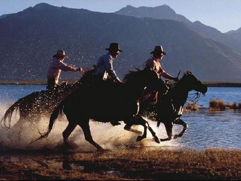 [cowboys2.jpg]