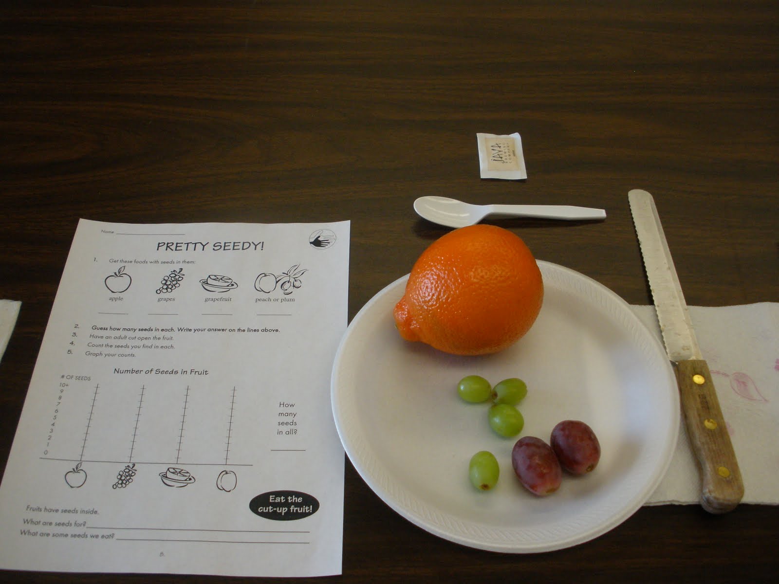 [Math+Using+Fruit.JPG]