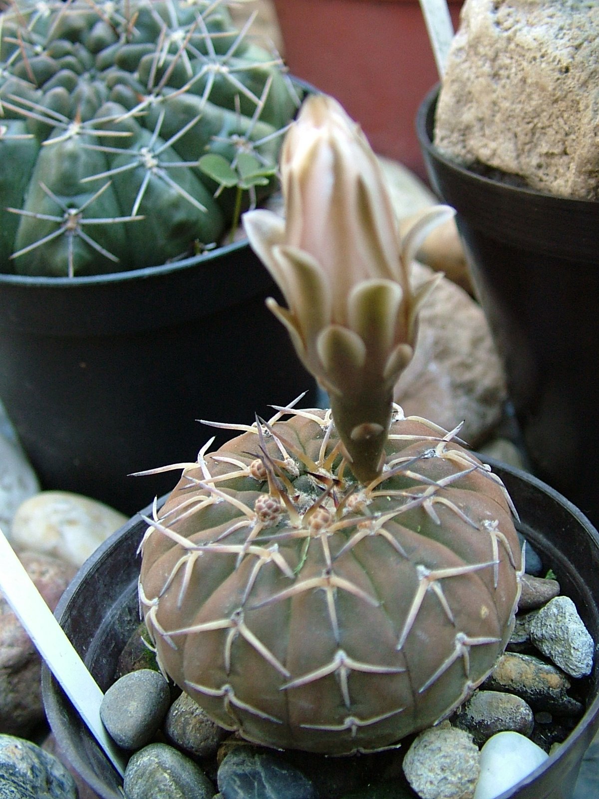 [DSCF0103.JPG]