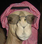 [صورة: camel1.jpg]