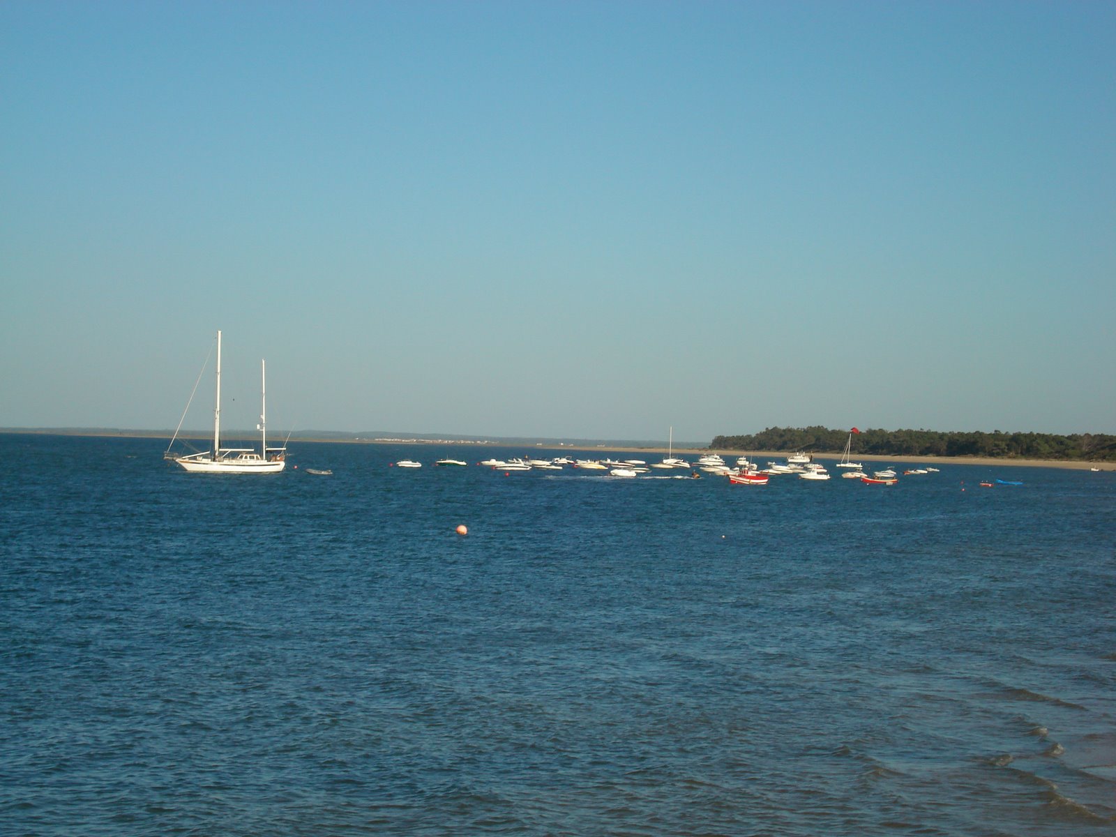 [DSC03319.JPG]