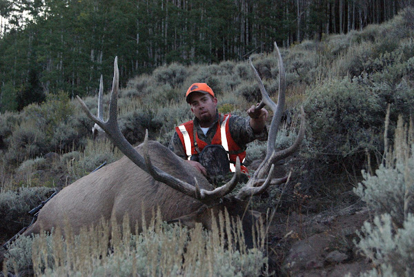 Brad's elk hunt 2009