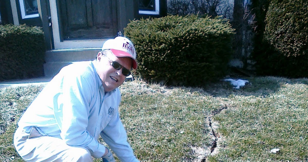 Love Your Lawn Dirt "Tunnels" in Your Lawn?