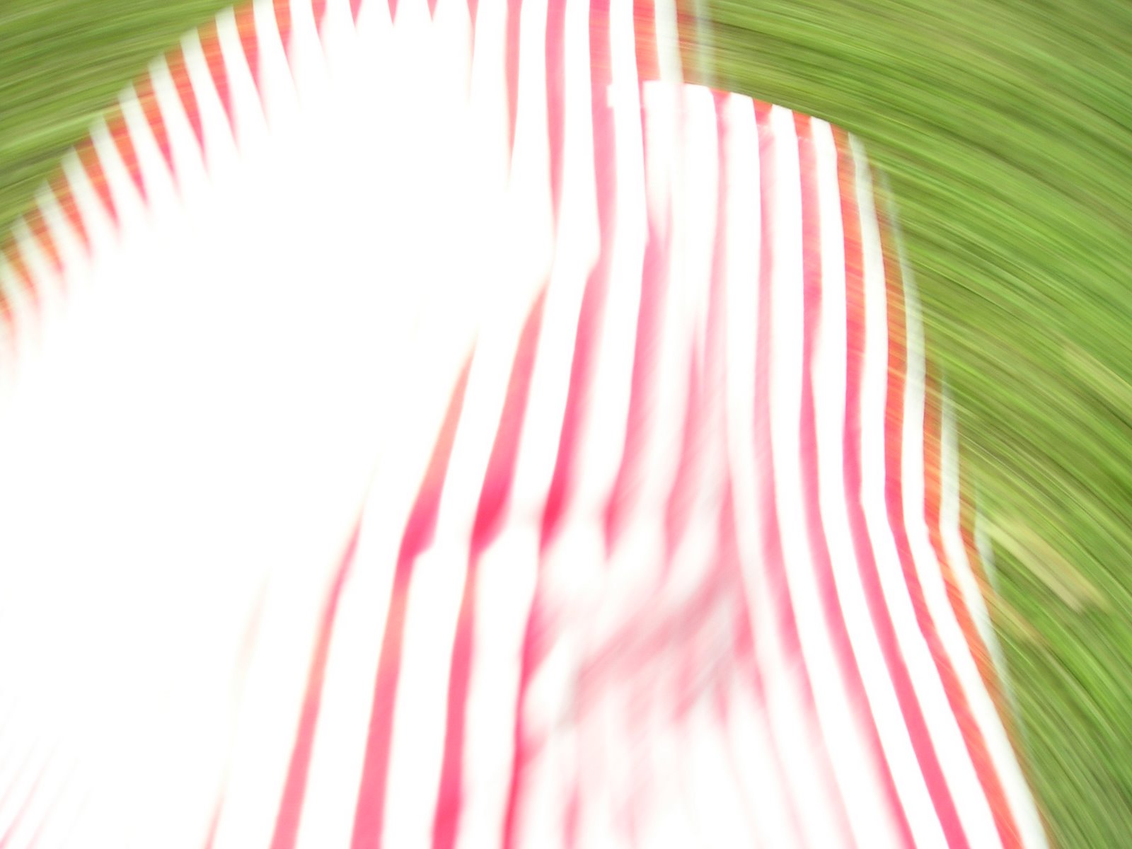[Complot+de+Rayitas.JPG]