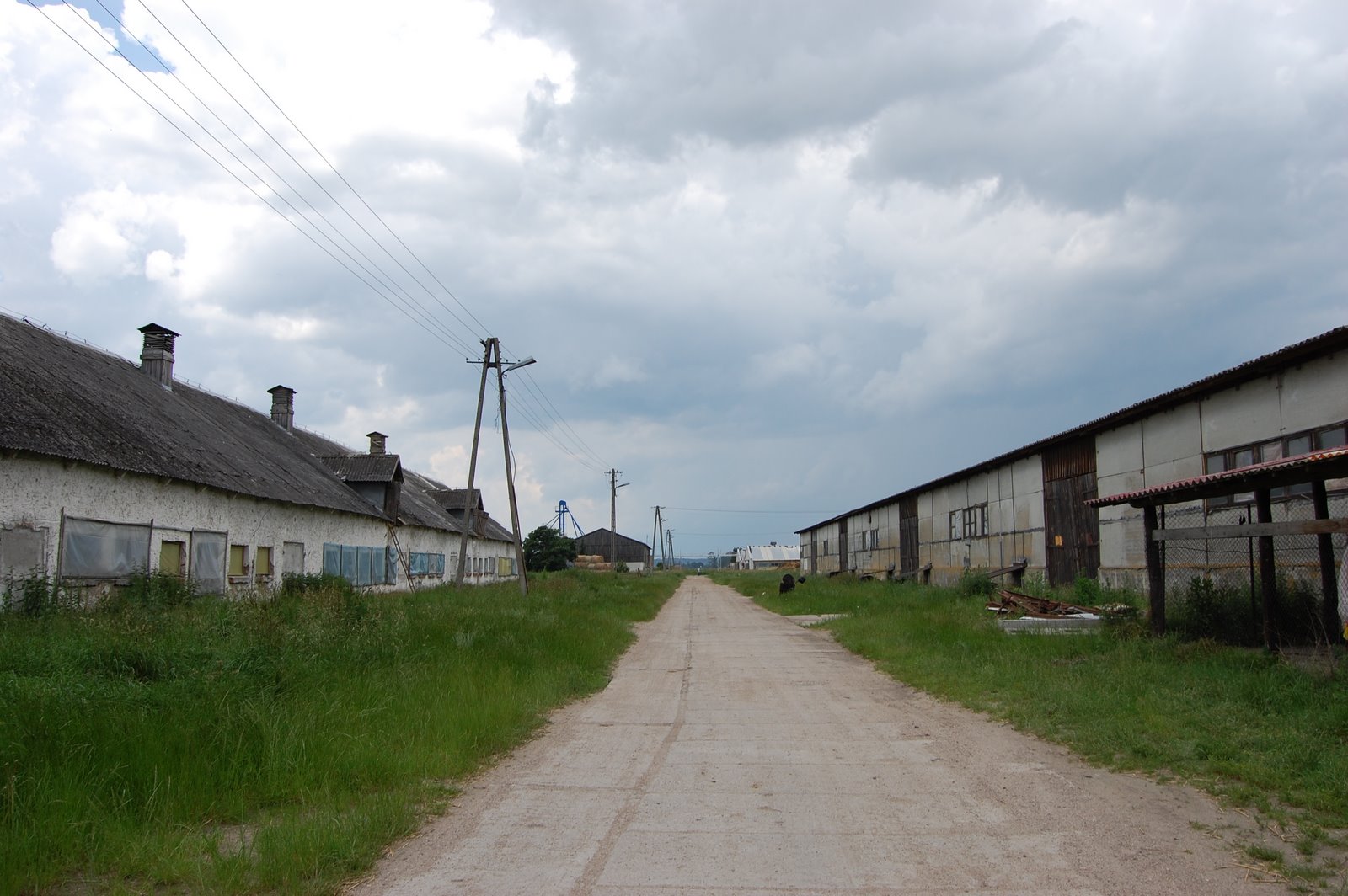 [DSC_0351.JPG]