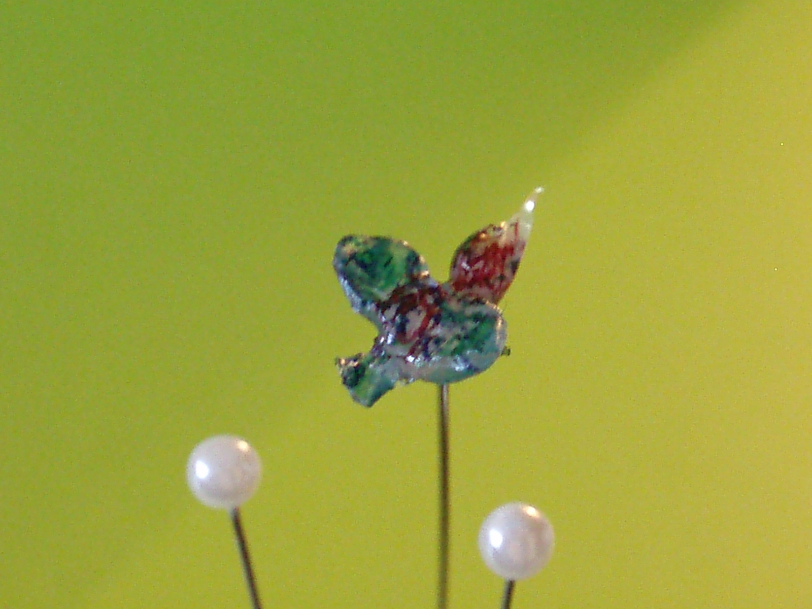 [P5240885.JPG]
