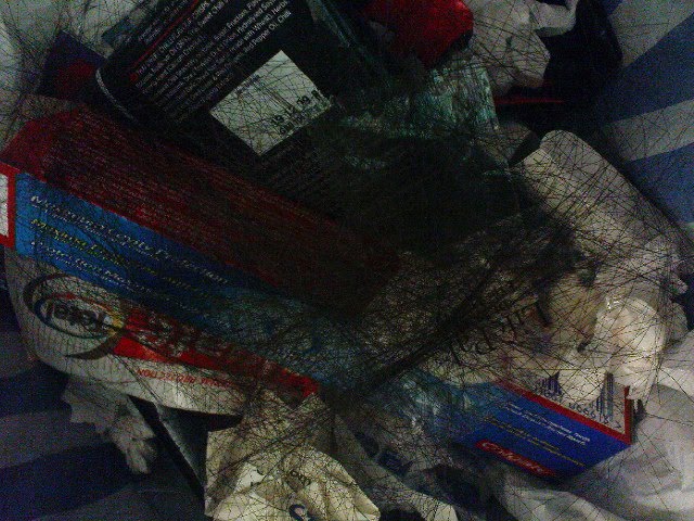 [DSC04175.JPG]