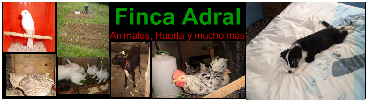 -Finca Adral-