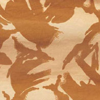 [camo_dpm_desert.jpg]