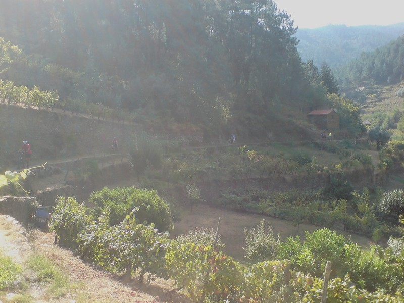 [DSC00084.JPG]