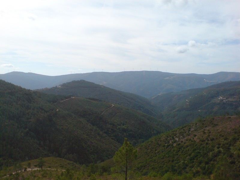 [DSC00080.JPG]