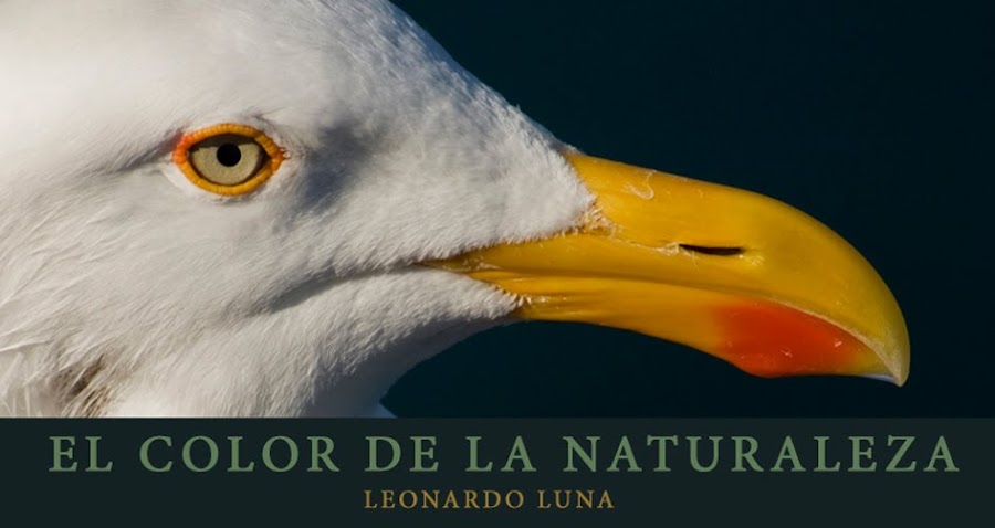 El color de la naturaleza