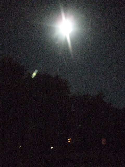 [IMG_5239.JPG]