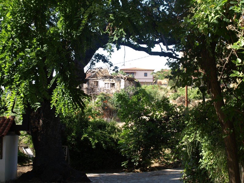 [Image00012.jpg]