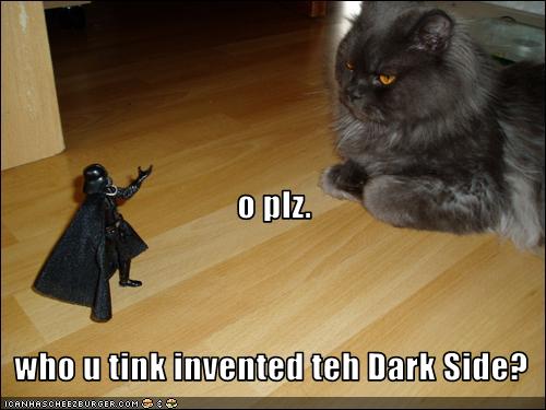 [funny-pictures-cat-invented-dark-side.jpg]