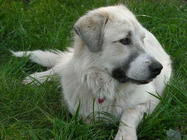 [rocky+profile+0808.jpg]