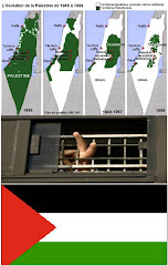 Association France Palestine Solidarité (AFPS) : Signez la pétition en cliquant sur la photo !