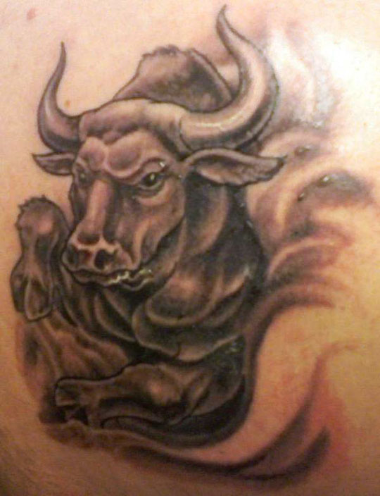 The Bull zodiac tattoos symbolize the sign of Taurus