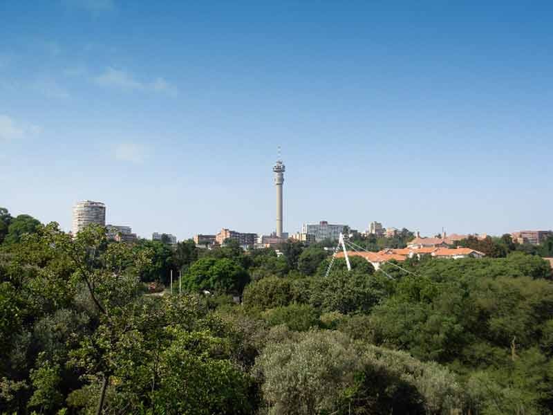 Green Johannesburg Walk in The Wilds, Houghton