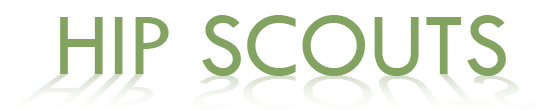 [hipscouts.gif]