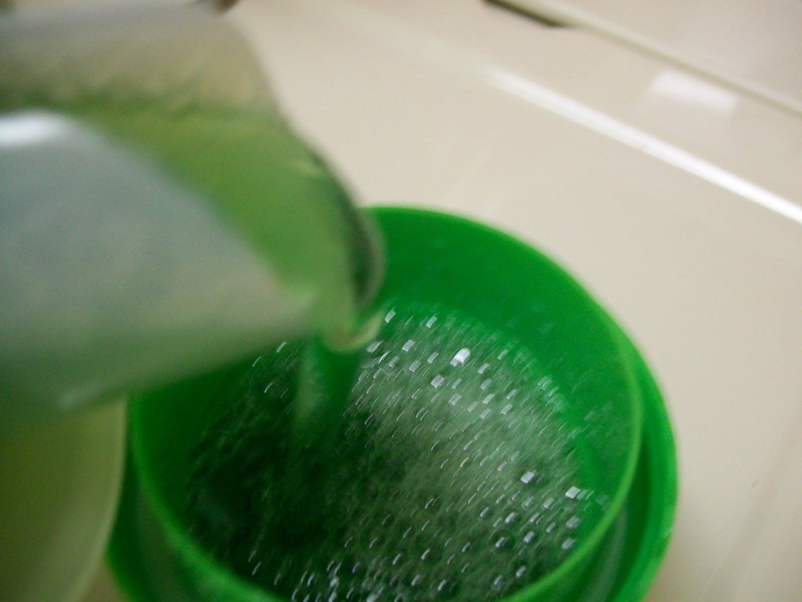 [Green+Works+003.jpg]