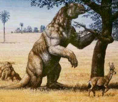 Megatherium..jpg