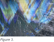 [photo.gif]