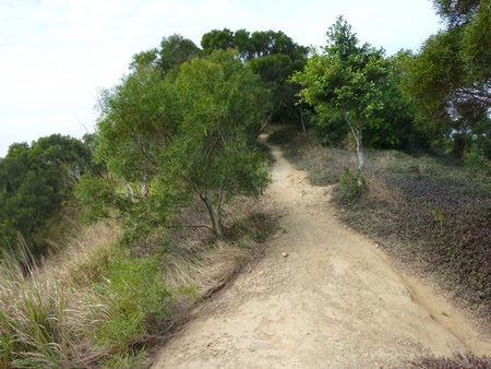 [P1000874.JPG]