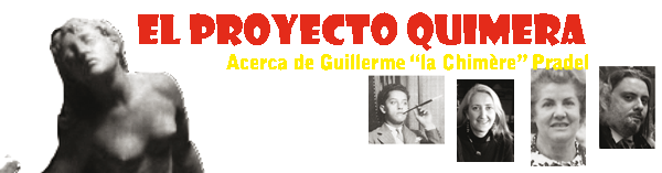 Proyecto Quimera