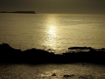 [P1010358.JPG]