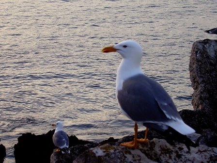 [P1010373.JPG]
