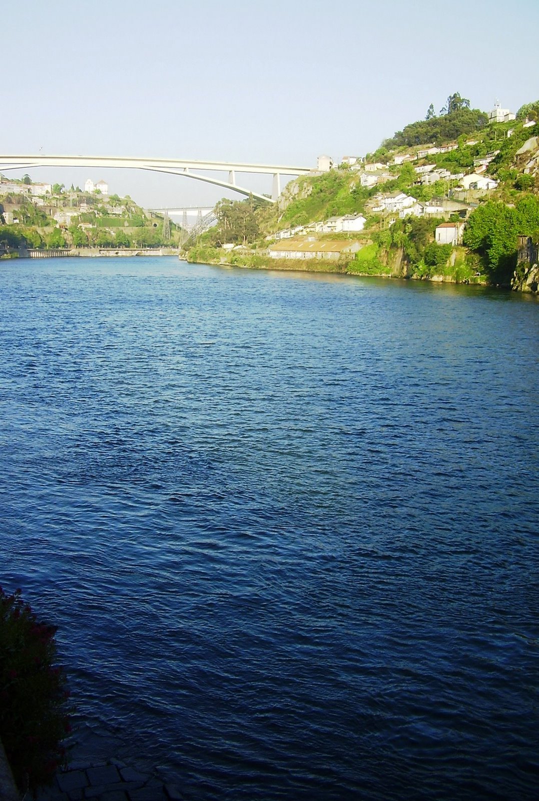 [P1010055.JPG]