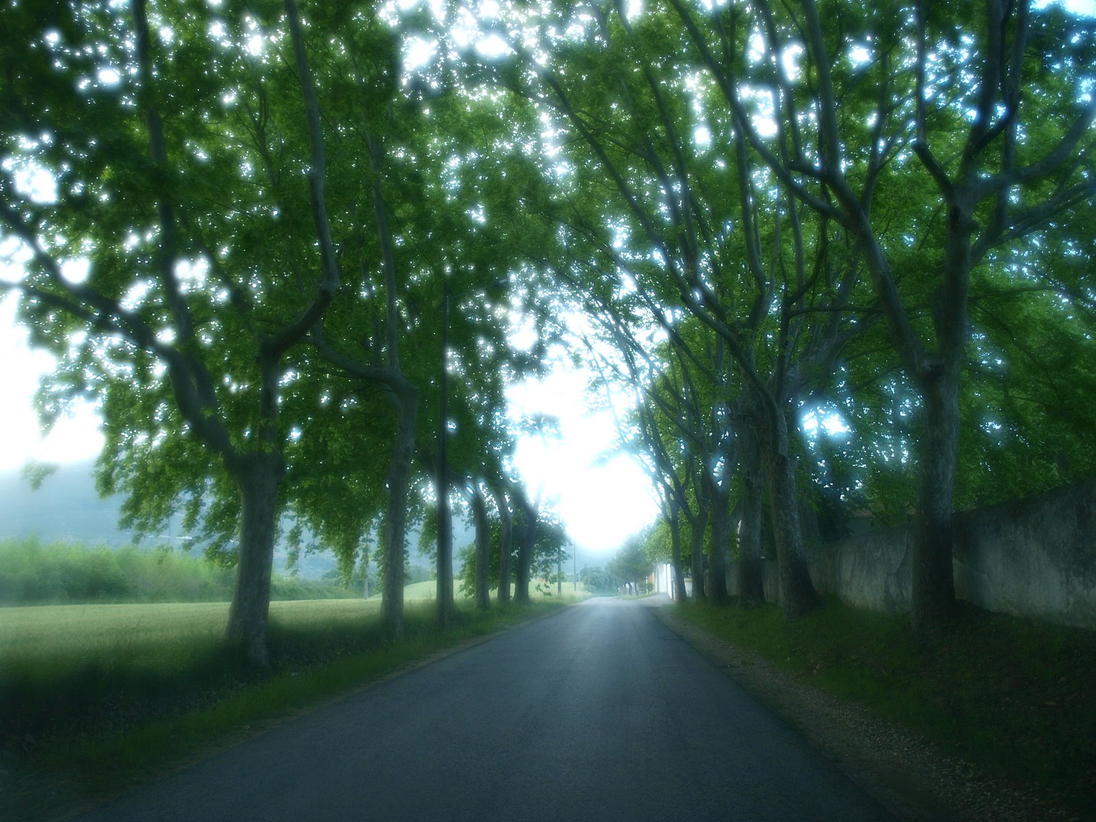 [P1011291.JPG]
