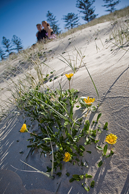 [0102+-+Julie&Ray.jpg]